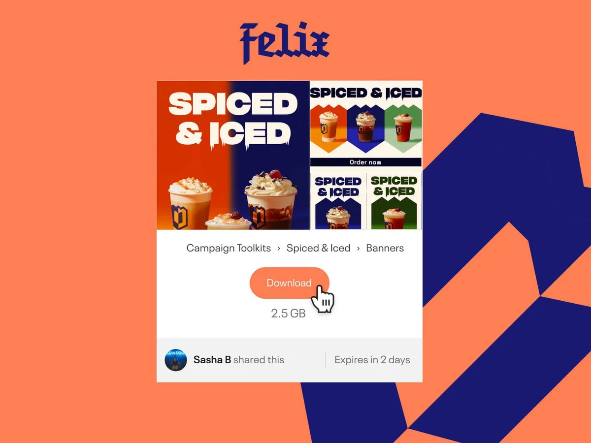 A branded share link in Niice, with expiry and password controls.