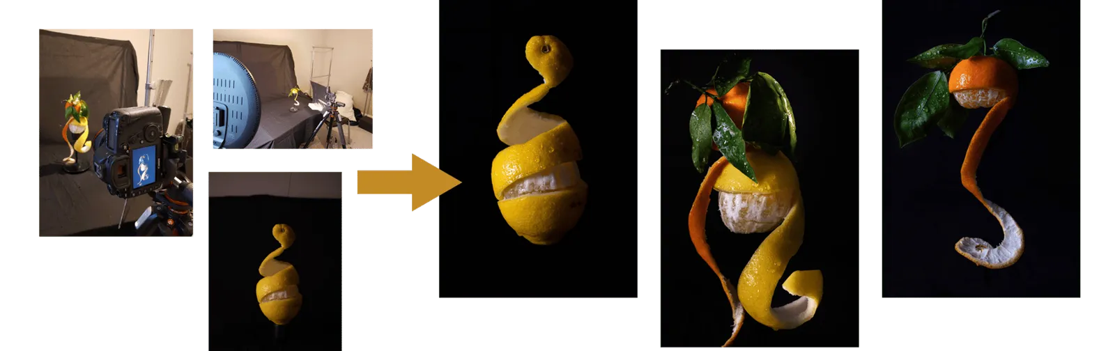 A set of still-life photographs of fruit.