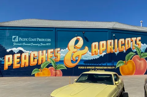 Jamie Stark Reimagines Vintage Produce Labels and Cans as Murals for Pacific Coast Producers — via Dieline